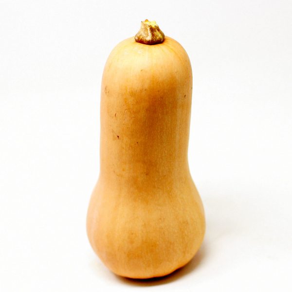 Butternut-Squash