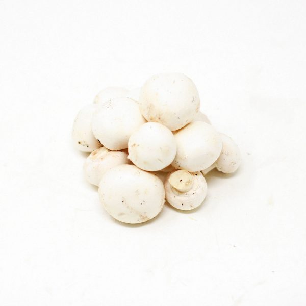 Button-Mushroom
