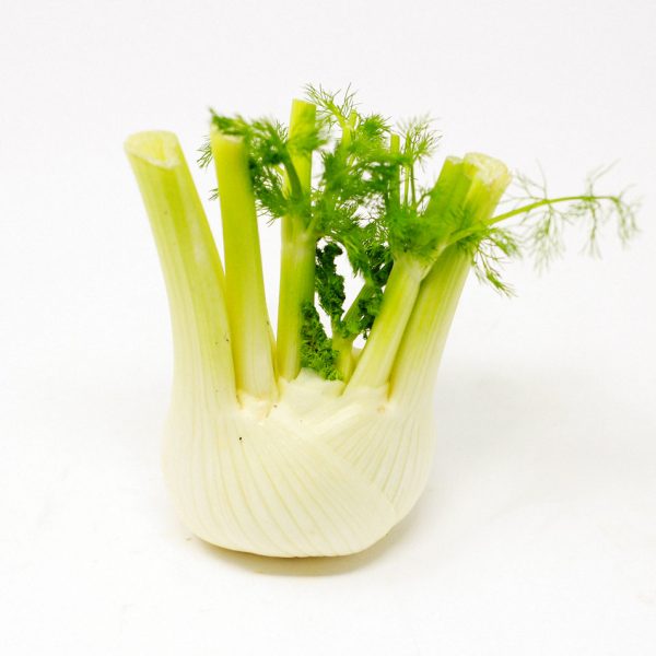 Fennel