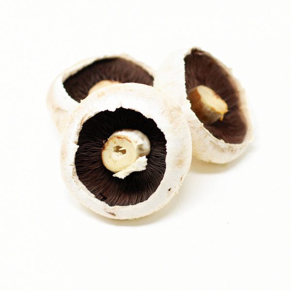 Flat-Mushrooms