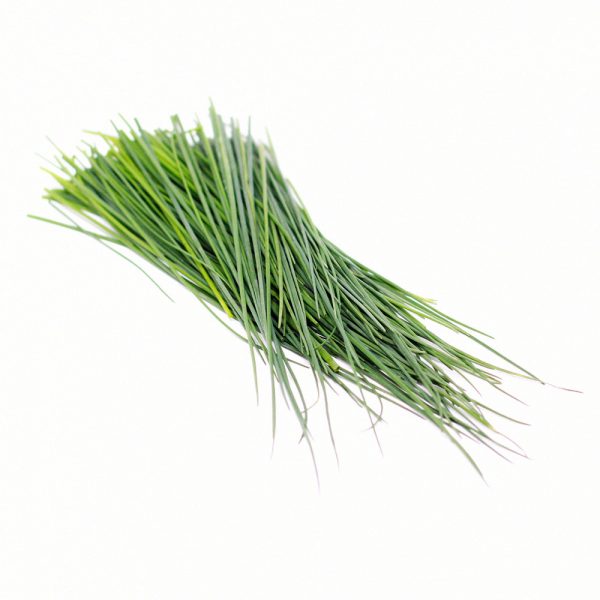 Fresh-Chives