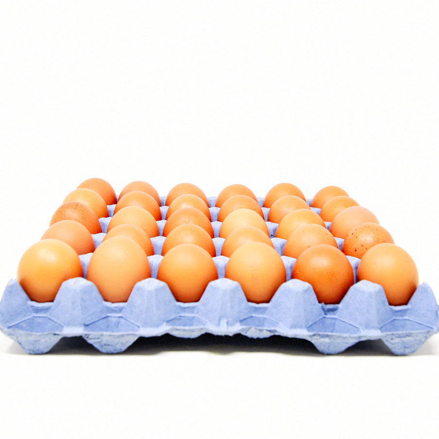 Medium-Free-Range-Eggs-Tray-30