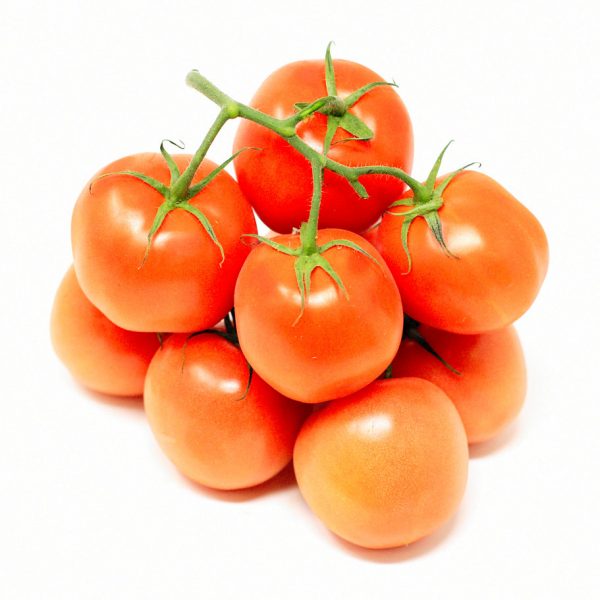 Vine-Tomatoes