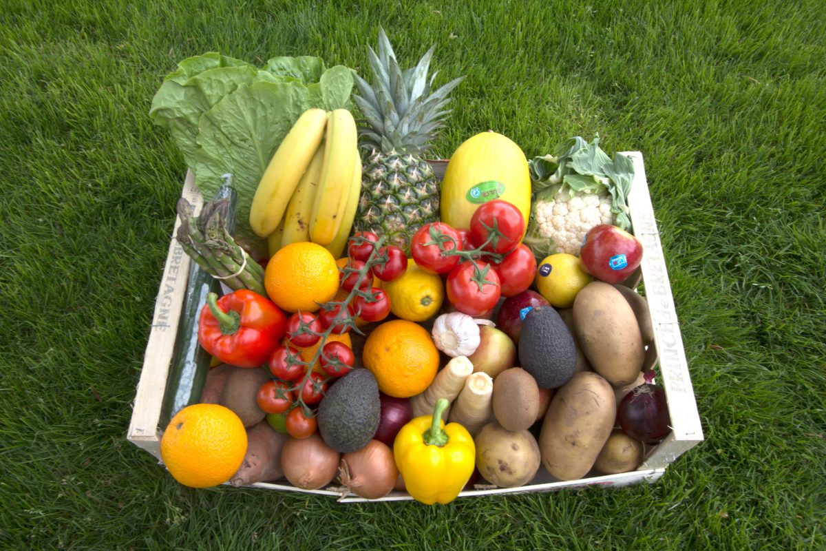 Platinium-Fruit-and-Veg-Basket