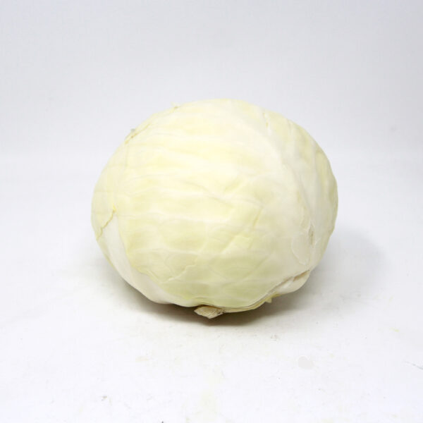 White-Cabbage