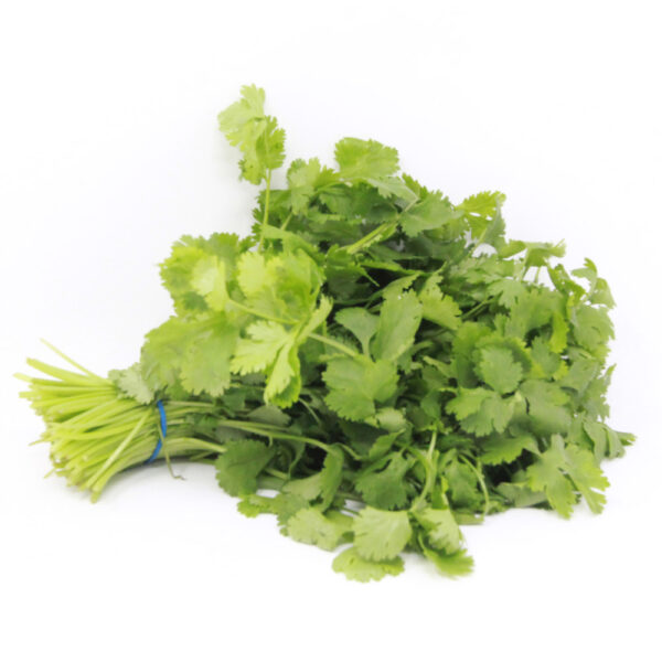 Fresh-Coriander