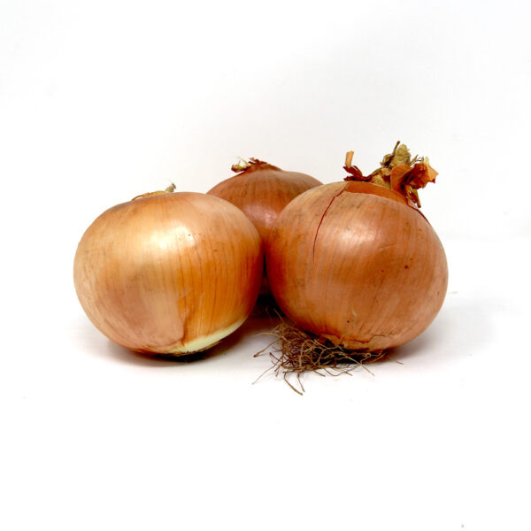 Large-Spanish Onions