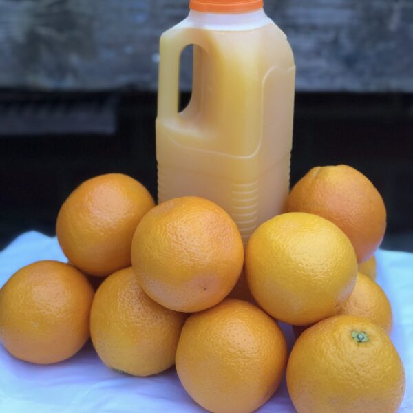 freshly-squeezed-orange-juice