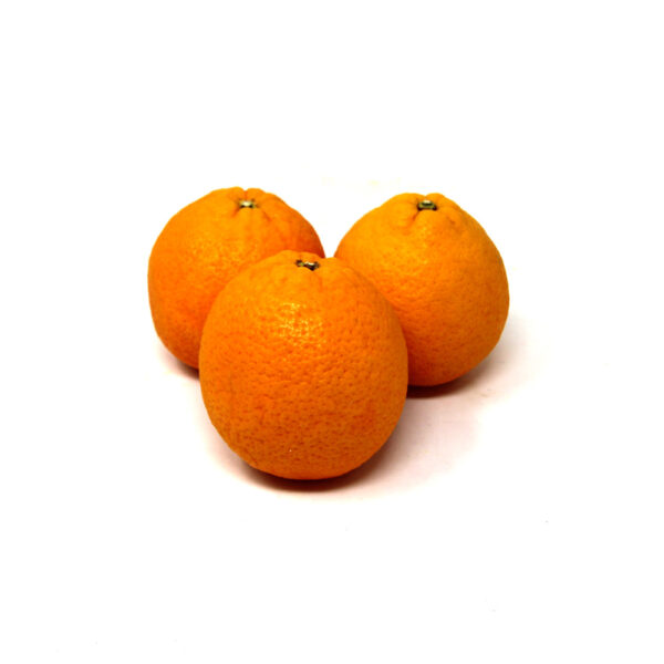 Large-Oranges