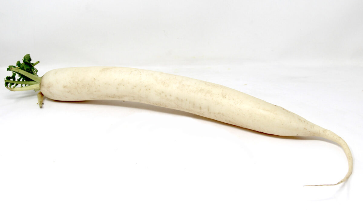 Mouli---White-Radish