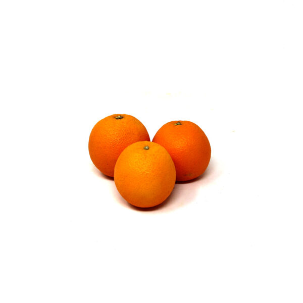 Small-Oranges-for-Juice