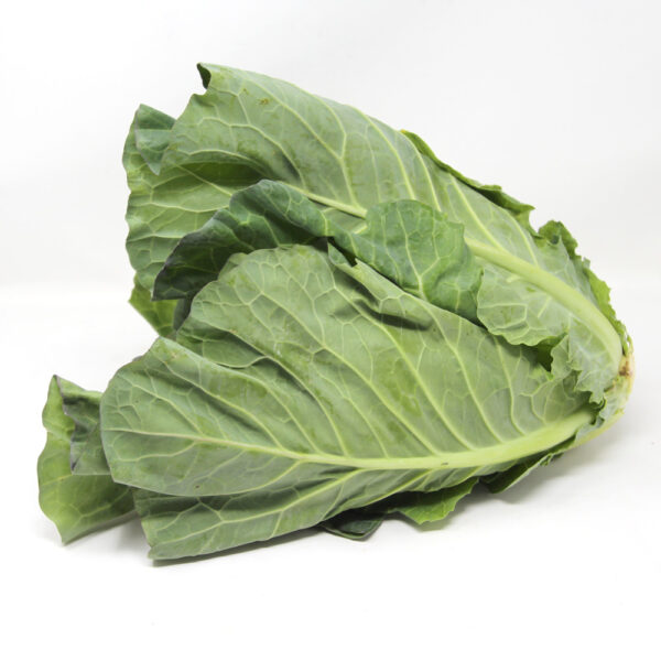 Spring-Cabbage